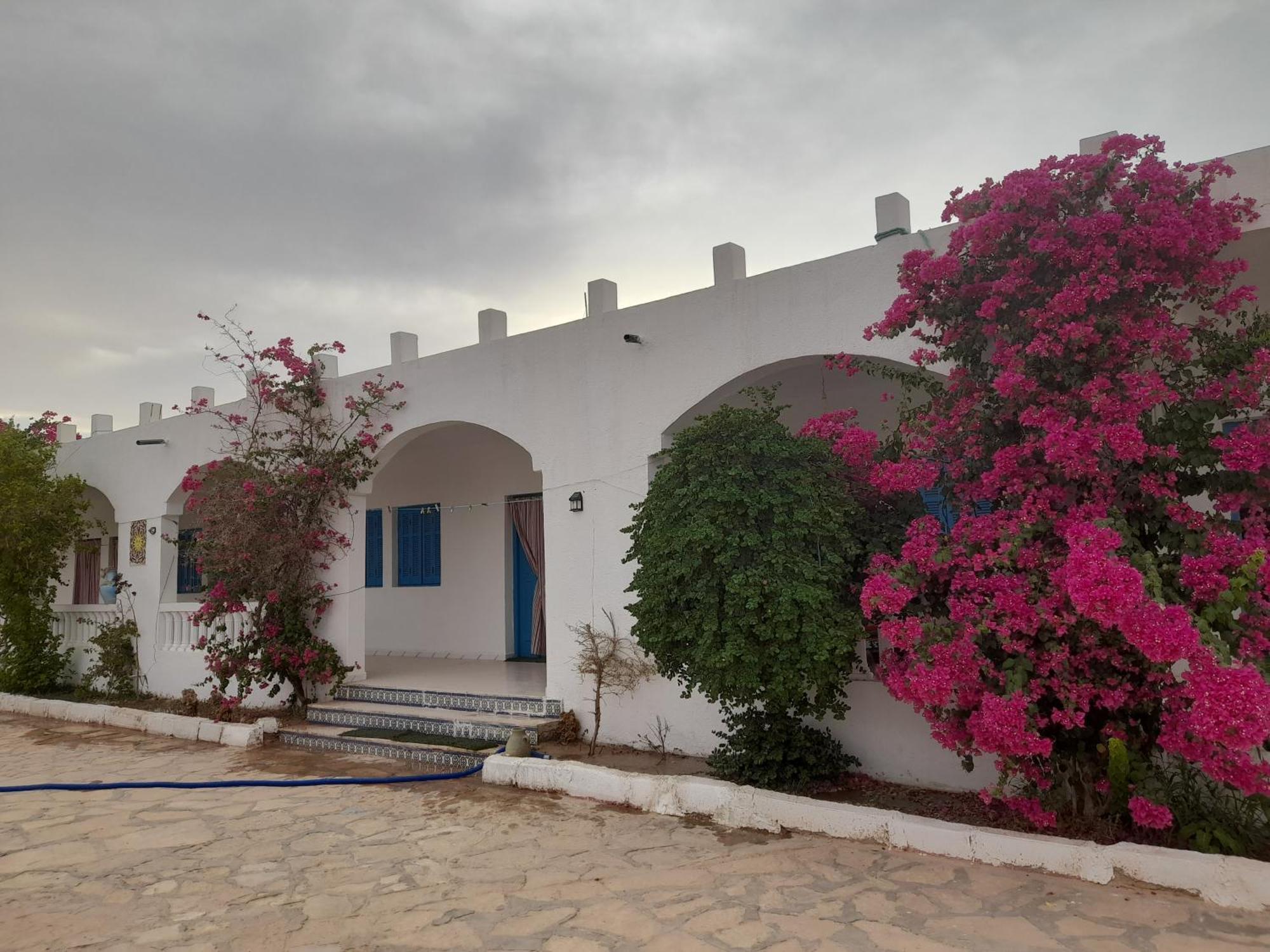 Residence Nour ドゥーズ エクステリア 写真